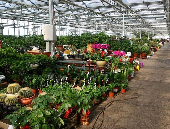 花卉市場溫室案例